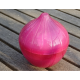 Plastic onion geocache